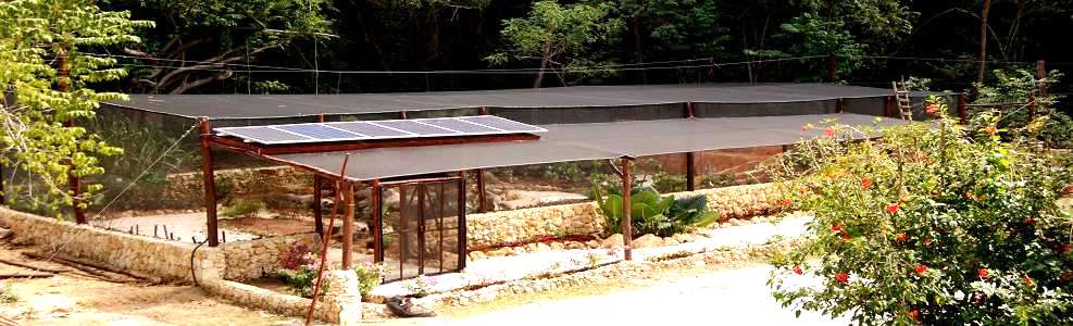 Largest Butterfly Garden in the DR