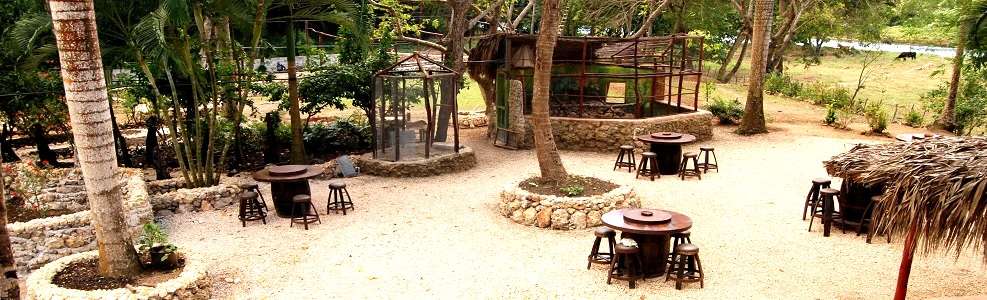 The Perfect Place to experience the Jungle