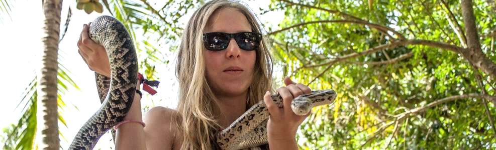 And you can pet the animals here