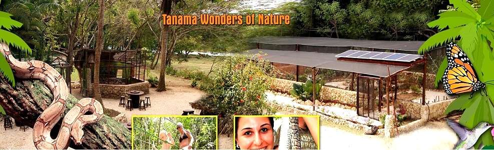 Discover the wonders of the local nature from Punta Cana and Bayahibe