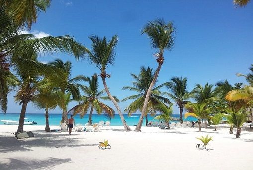 Catuano Beach - white sand and large palm trees