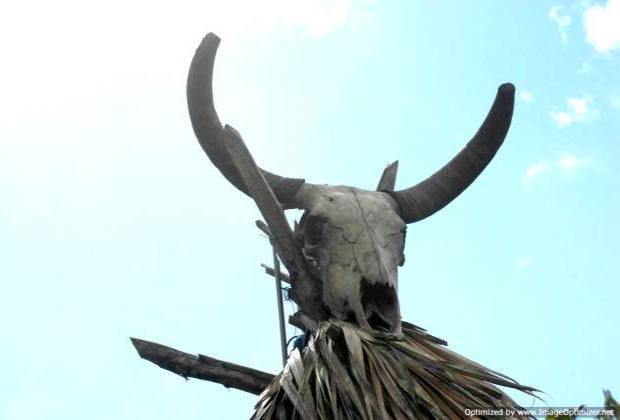 Sceleton Padre Nuestro Trail