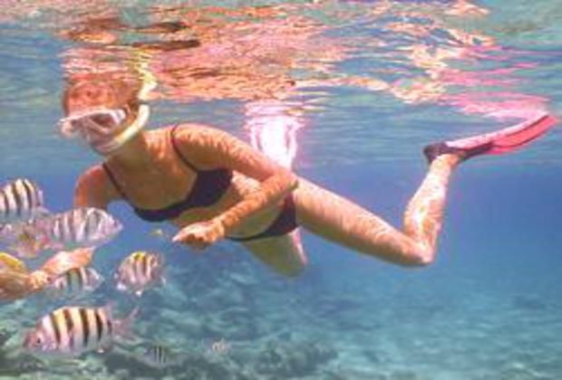 Canto de la Playa snorkeling at the reef