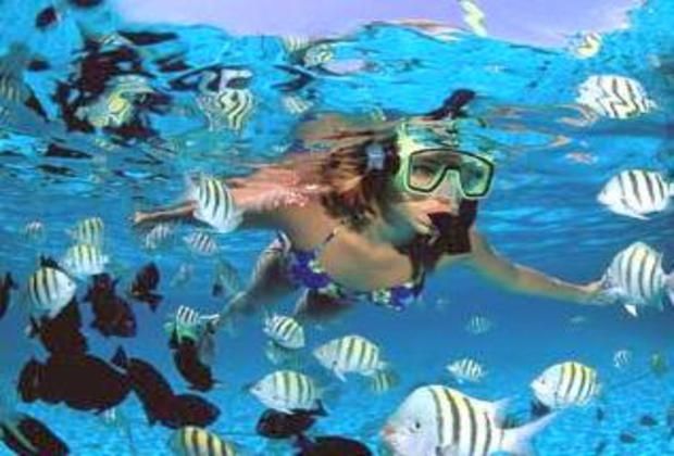 Canto de la Playa snorkeling from the beach