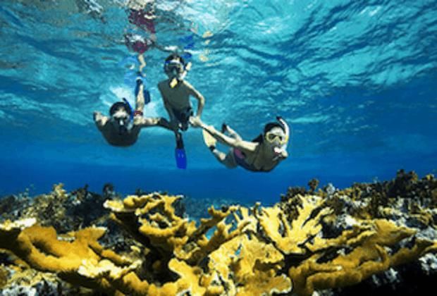 Catalina Schnorchel Abenteuer