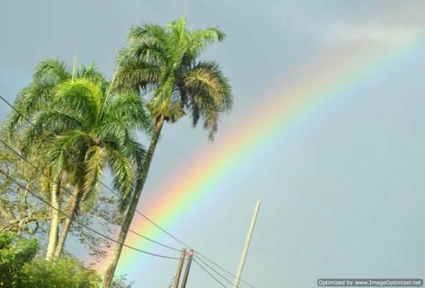 Whale Watching - a real adventure day