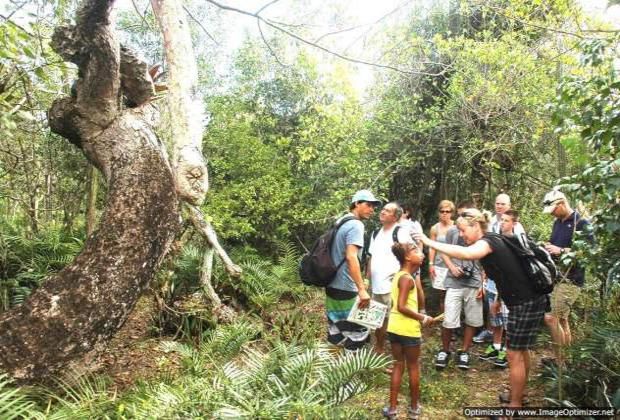 Padre Nuestro overview