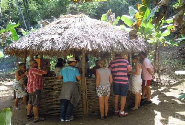 Jungle bar on farm Chavon