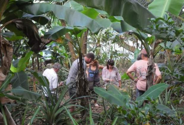 Explore the jungle with the trail