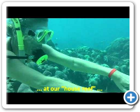 Hookah Dive Bayahibe