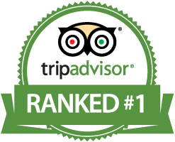 no 1 tripadvisor
