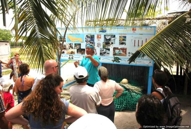 Sea Turtle project - Mano Juan - Saona Island
