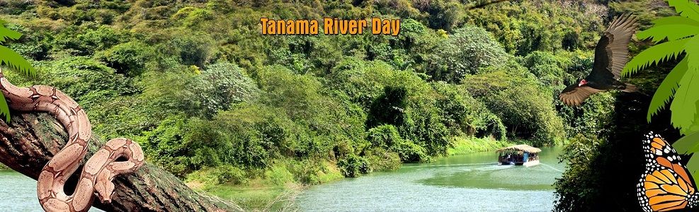 Fabulous River Cruise & Jungle Experience