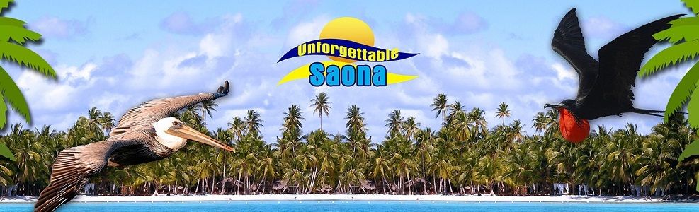 Saona Crusoe VIP: no 1 tour by Tripadvisor