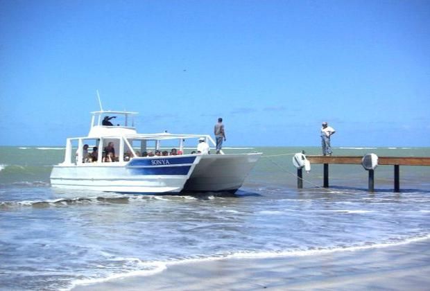 Leaving for the whale watching