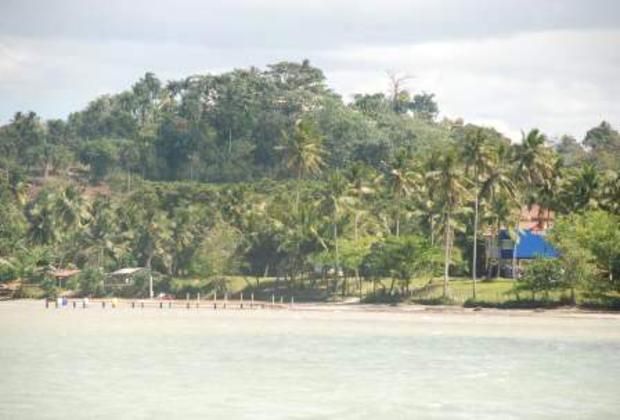 Return to the Whale Center