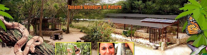 Discover the wonders of the local nature from Punta Cana and Bayahibe