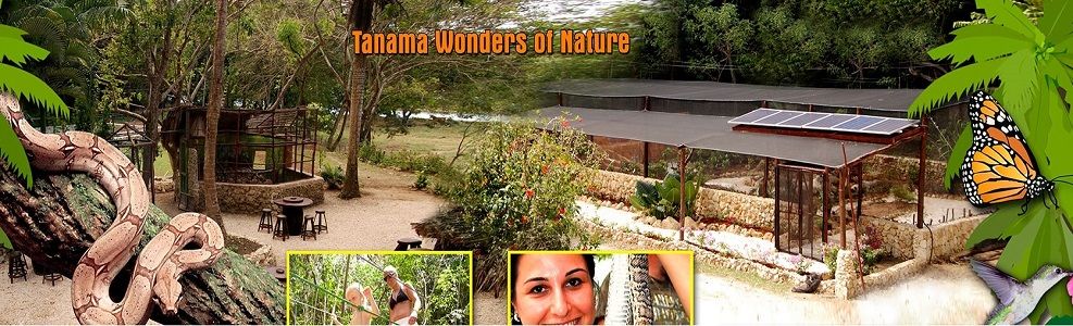 Meet the Local Wildlife