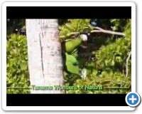 Tanama Wonders Of Nature Tour